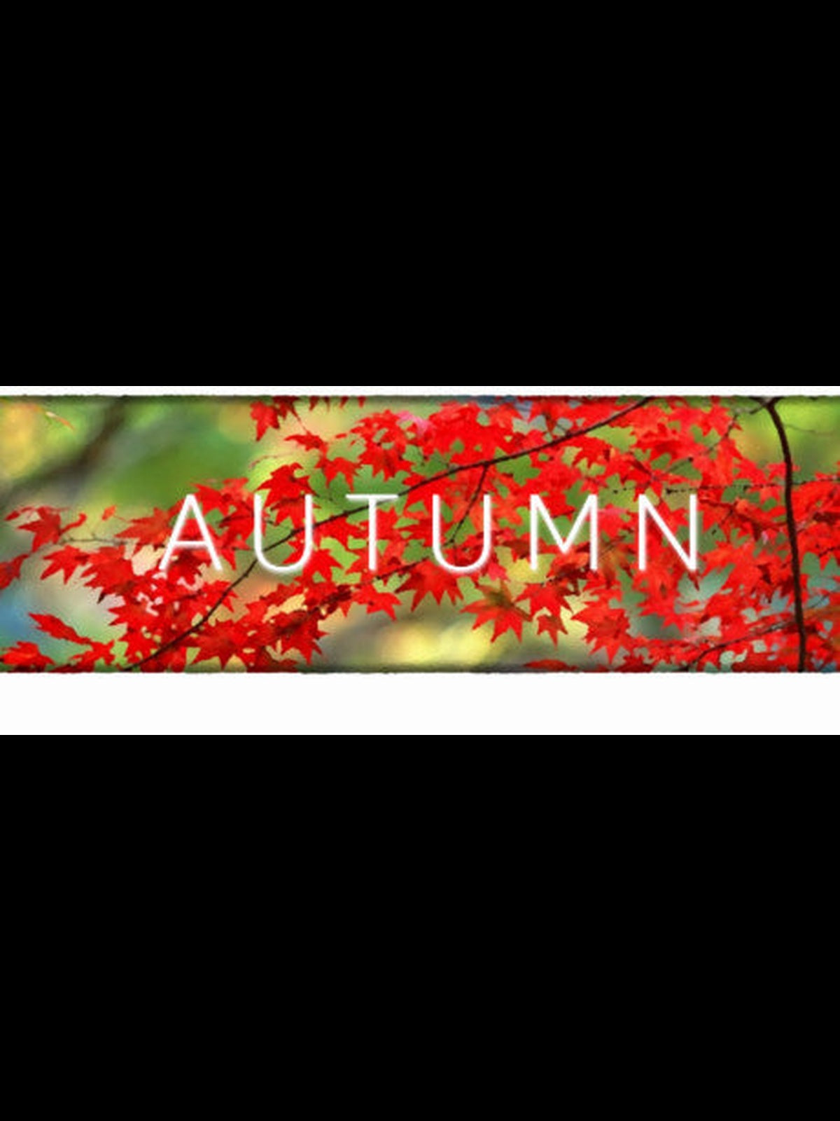 Buy Autumn PC Steam Key Default Title Steam key – fast digital delivery | Volt Keys