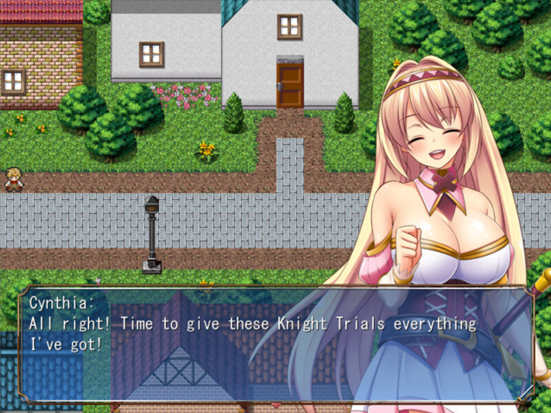 Holy Paladin Cynthia PC Steam Key