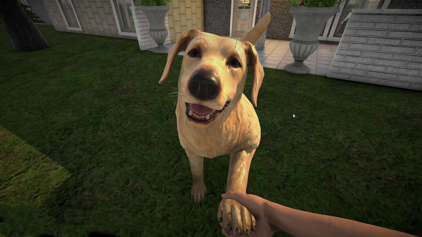 Buy Pets Hotel PC Steam Key Default Title Steam key – fast digital delivery | Volt Keys