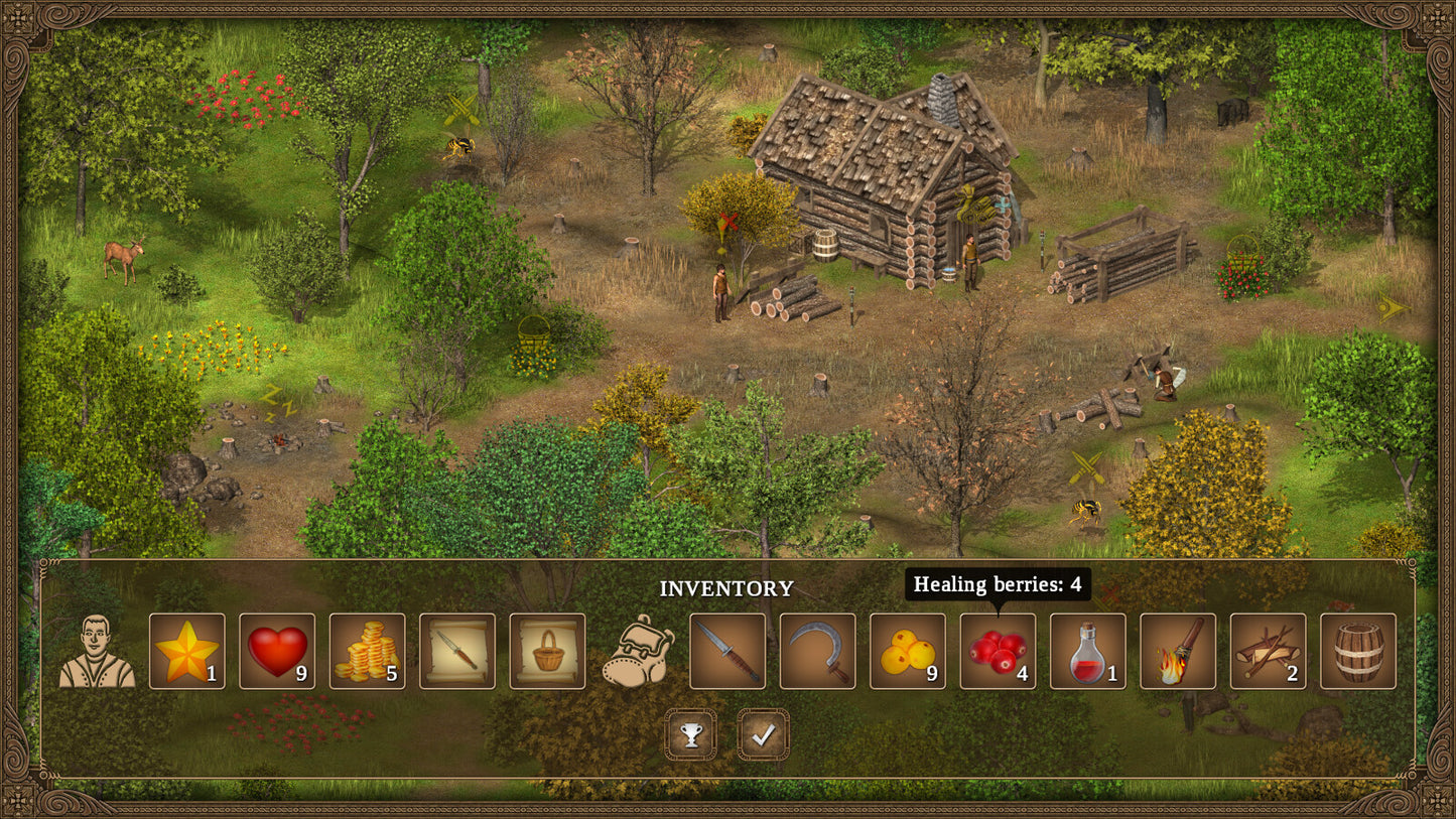 Buy Hero of the Kingdom: The Lost Tales 1 Steam Key Default Title Steam key – fast digital delivery | Volt Keys