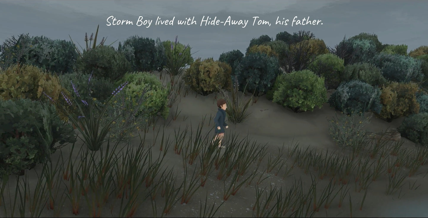 Buy Storm Boy Steam Key Default Title Steam key – fast digital delivery | Volt Keys