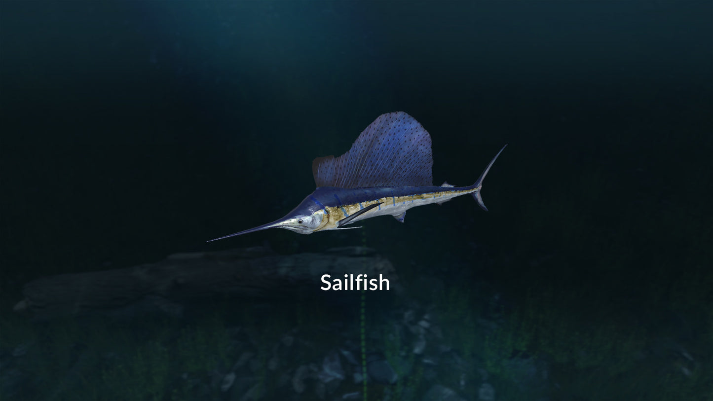 Buy Ultimate Fishing Simulator - New Fish Species DLC Steam Key Default Title Steam key – fast digital delivery | Volt Keys