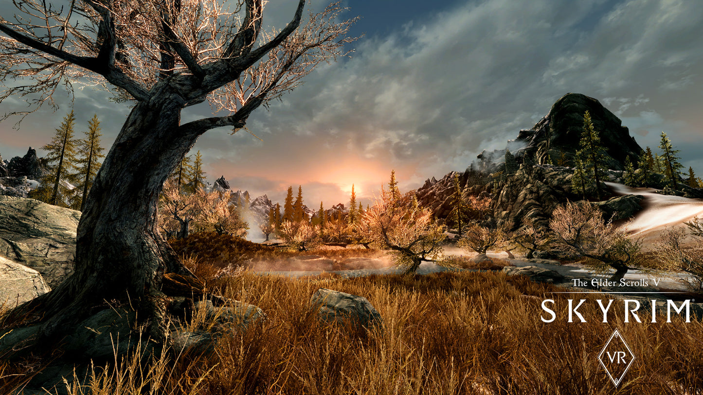 Buy The Elder Scrolls V: Skyrim VR Steam Key Default Title Steam key โ fast digital delivery | Volt Keys