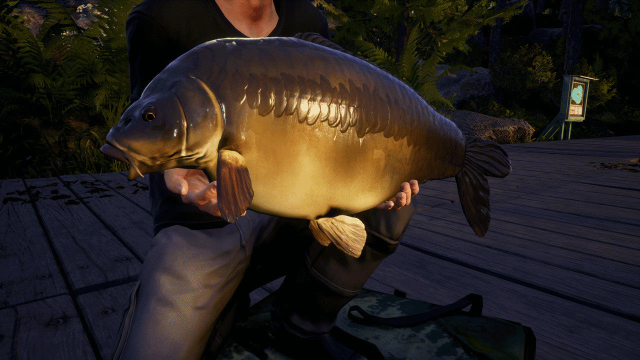 Buy Euro Fishing - Waldsee DLC Steam Key Default Title Steam key – fast digital delivery | Volt Keys