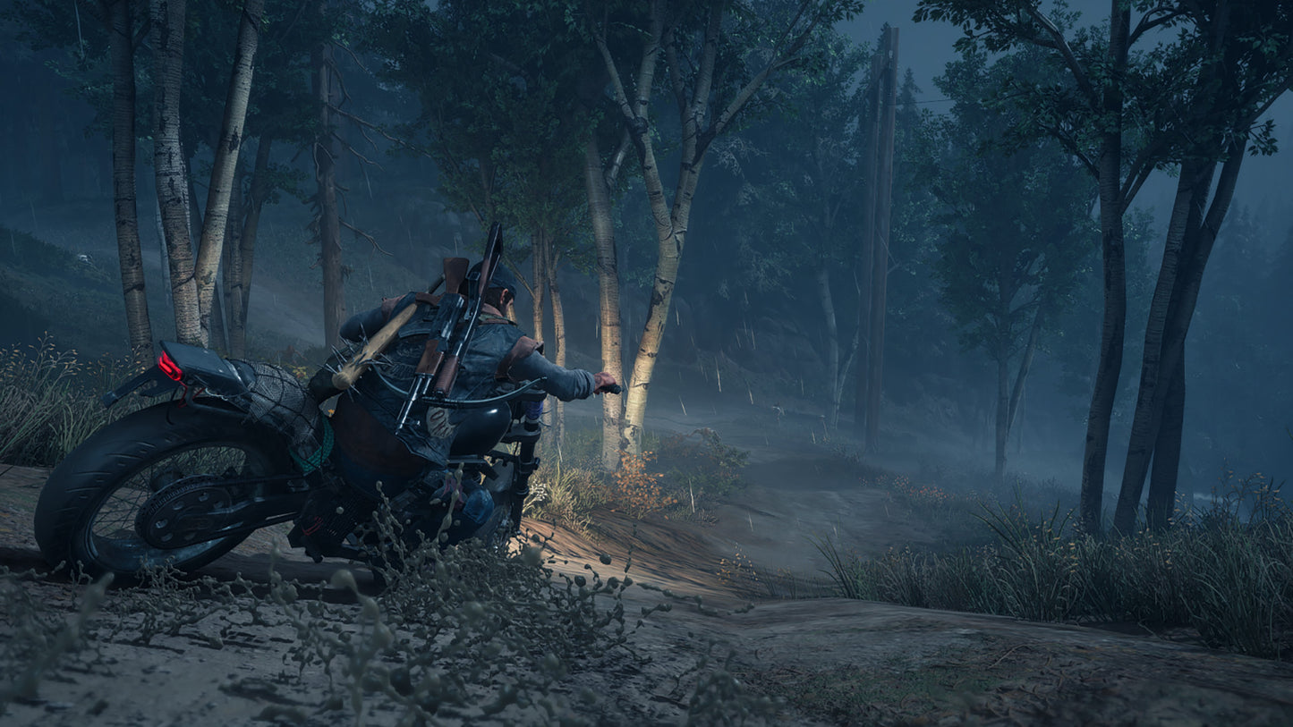 Person on a motorcycle in a forest at night