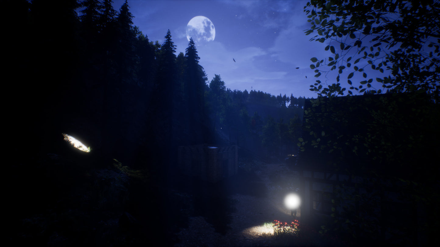 Buy Light The Way Steam Key Default Title Steam key – fast digital delivery | Volt Keys