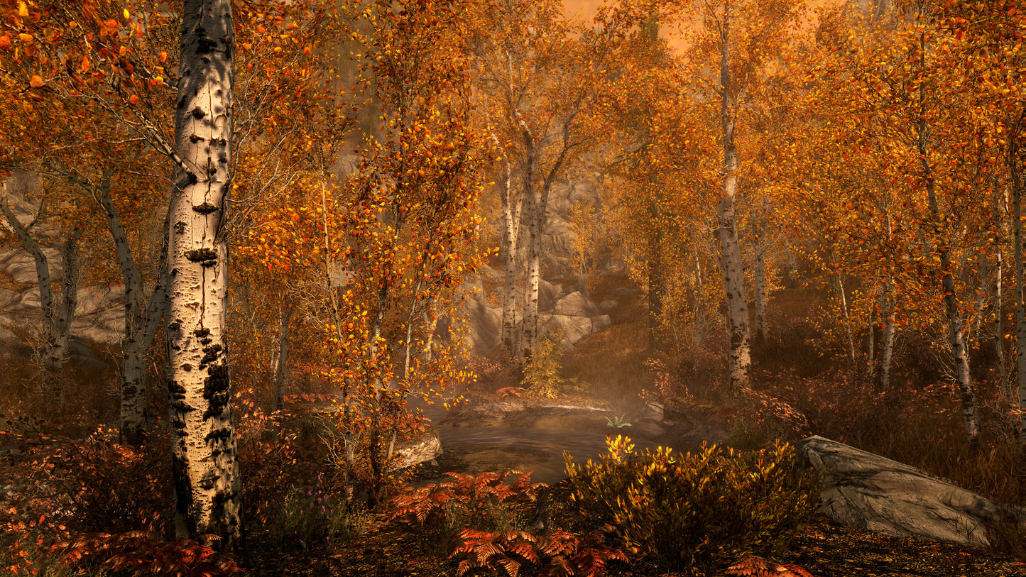 The Elder Scrolls V: Skyrim Special Edition IN PC Steam Key