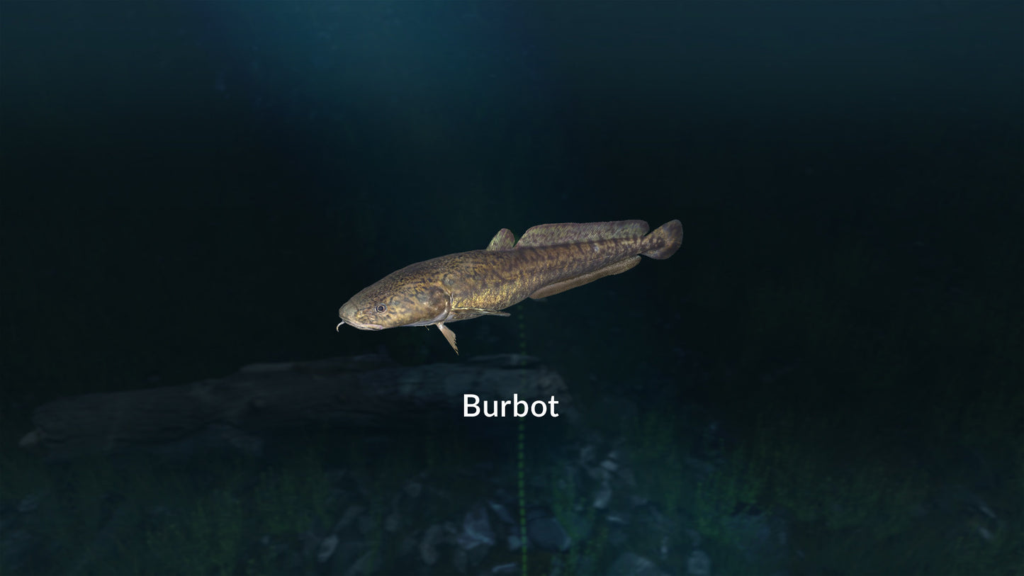 Buy Ultimate Fishing Simulator - New Fish Species DLC Steam Key Default Title Steam key – fast digital delivery | Volt Keys