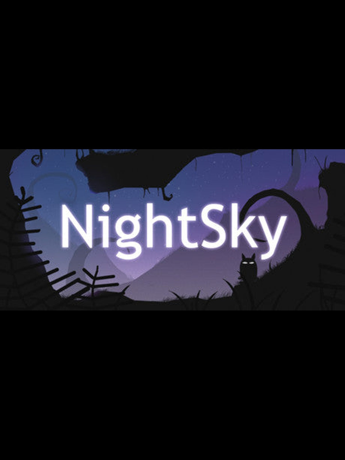 Buy Nightsky Steam Key Default Title Steam key – fast digital delivery | Volt Keys