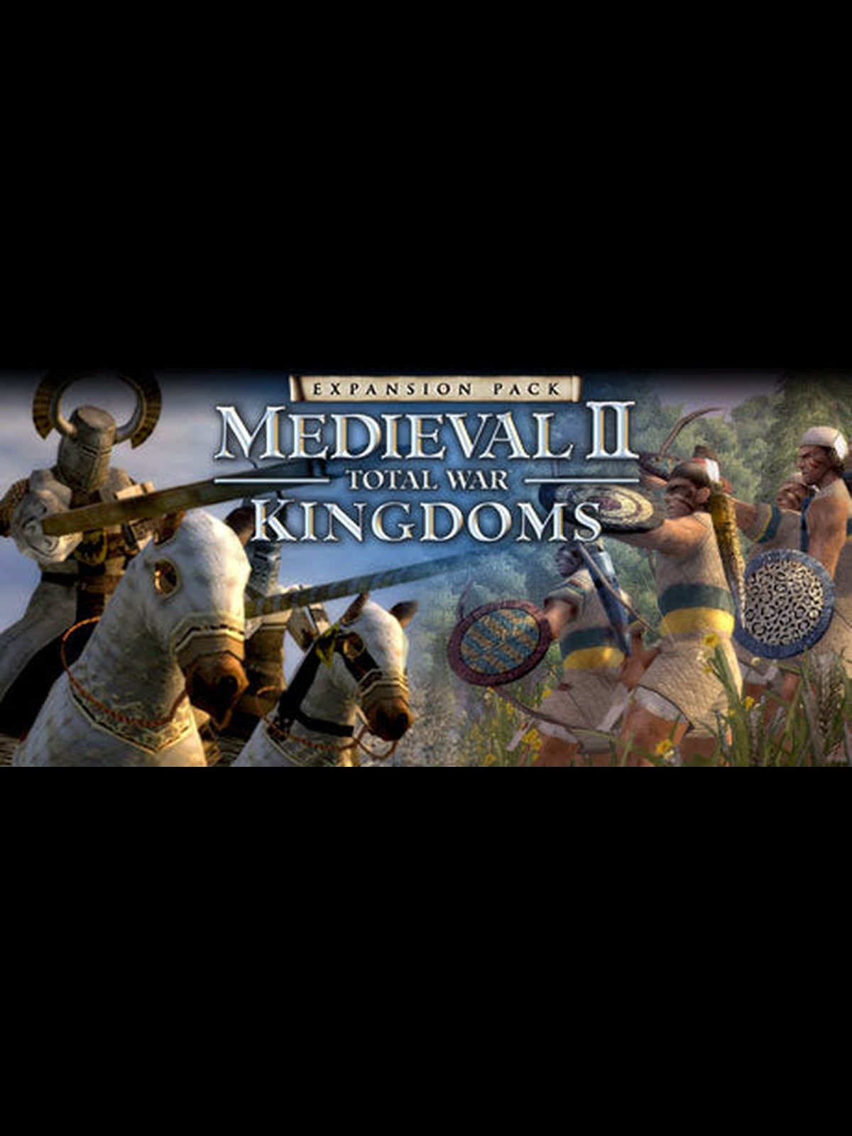 Buy Medieval II: Total War Kingdoms Steam Key Default Title Steam key – fast digital delivery | Volt Keys