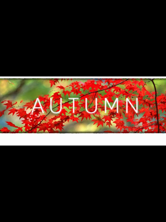 Buy Autumn PC Steam Key Default Title Steam key – fast digital delivery | Volt Keys