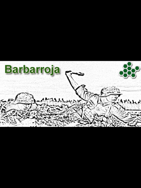 Buy Barbarroja Steam Key Default Title Steam key – fast digital delivery | Volt Keys