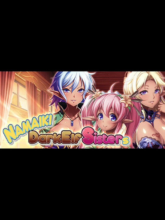 Buy Namaiki Dark Elf Sisters Steam Key Default Title Steam key – fast digital delivery | Volt Keys