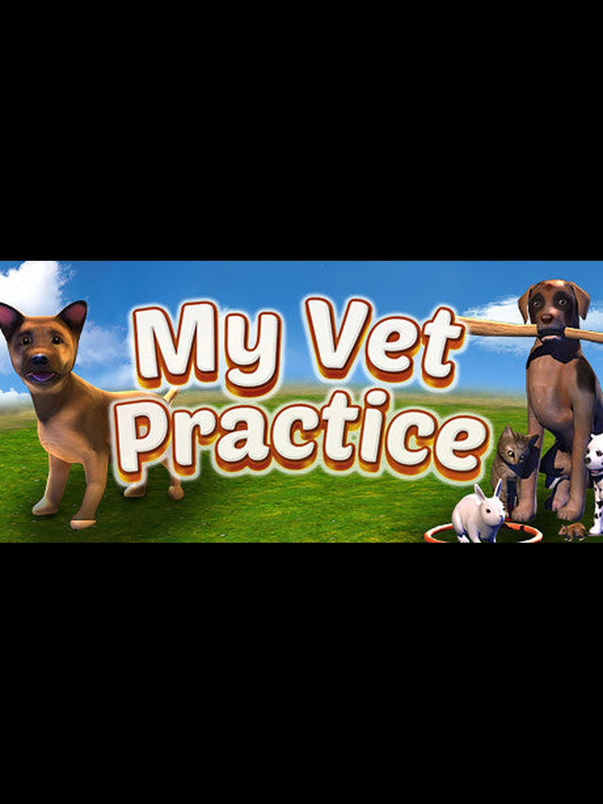 Buy My Vet Practice Steam Key Default Title Steam key – fast digital delivery | Volt Keys
