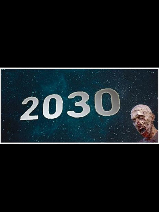 Buy 2030 Steam Key Default Title Steam key – fast digital delivery | Volt Keys