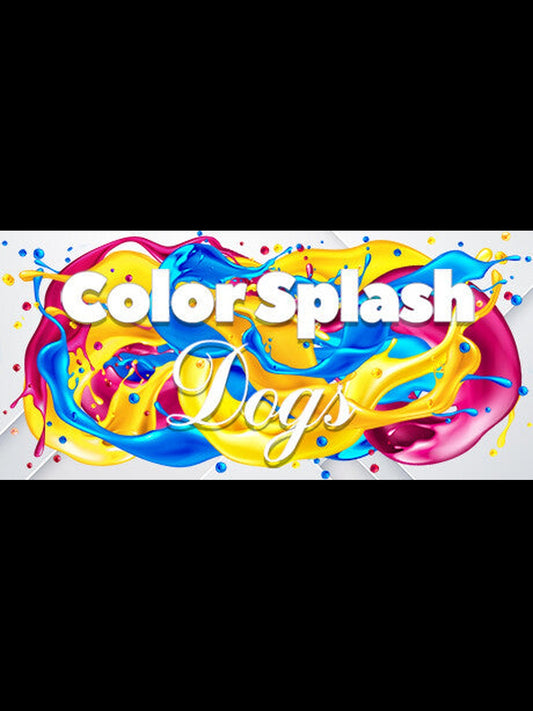 Buy Color Splash: Dogs Steam Key Default Title Steam key – fast digital delivery | Volt Keys