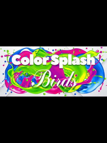 Buy Color Splash: Birds Steam Key Default Title Steam key – fast digital delivery | Volt Keys