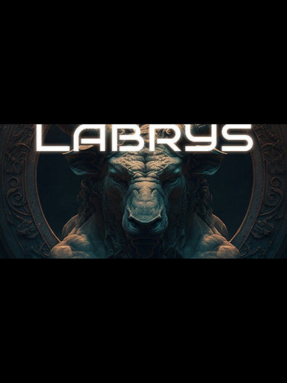 Buy Labrys Steam Key Default Title Steam key – fast digital delivery | Volt Keys
