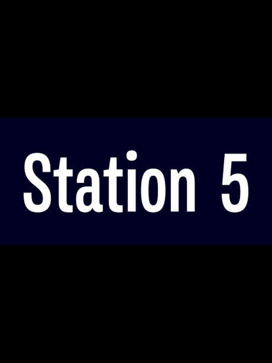 Buy Station 5 Steam Key Default Title Steam key – fast digital delivery | Volt Keys