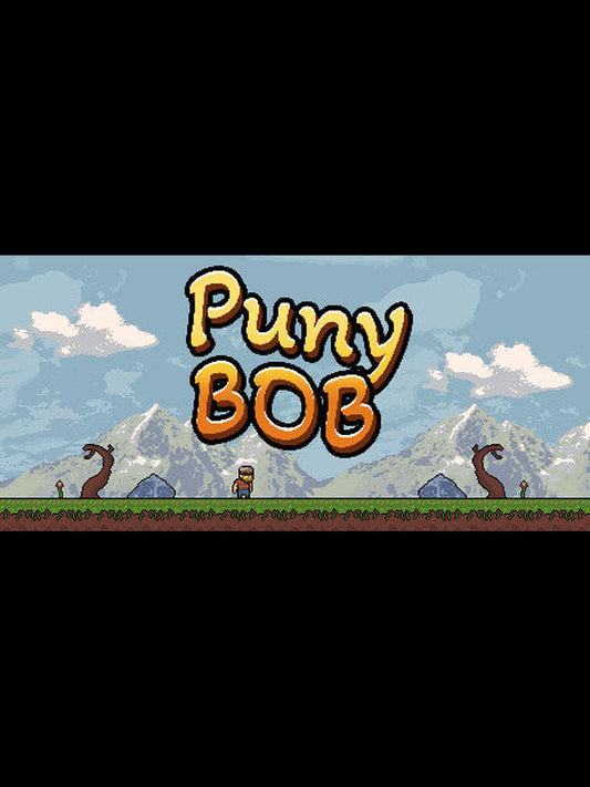 Buy Puny BOB Steam Key Default Title Steam key – fast digital delivery | Volt Keys