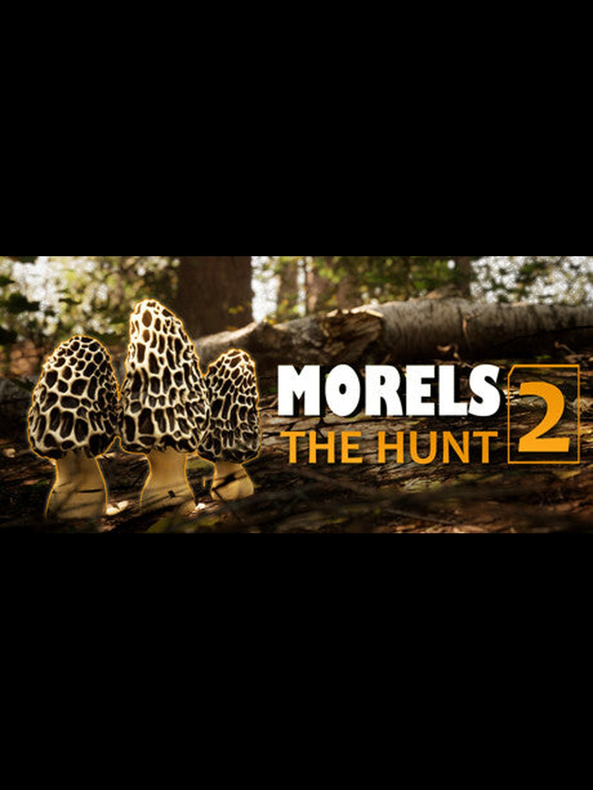 Buy Morels: The Hunt 2 Steam Key Default Title Steam key – fast digital delivery | Volt Keys