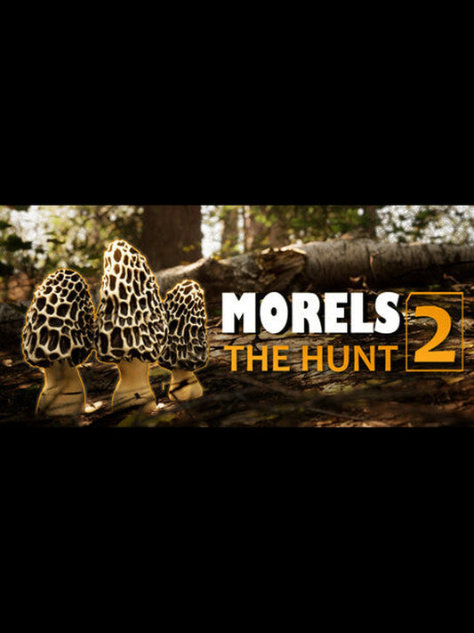 Buy Morels: The Hunt 2 Steam Key Default Title Steam key – fast digital delivery | Volt Keys
