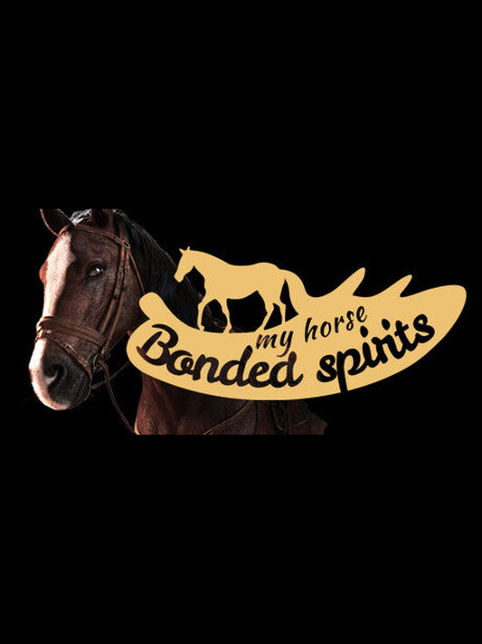 Buy My Horse: Bonded Spirits PC Steam Key Default Title Steam key – fast digital delivery | Volt Keys