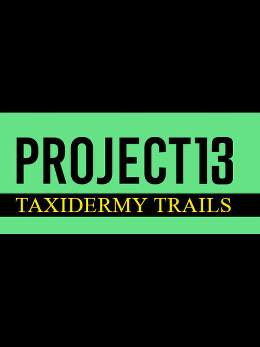 Buy Project 13: Taxidermy Trails PC Steam Key Default Title Steam key – fast digital delivery | Volt Keys