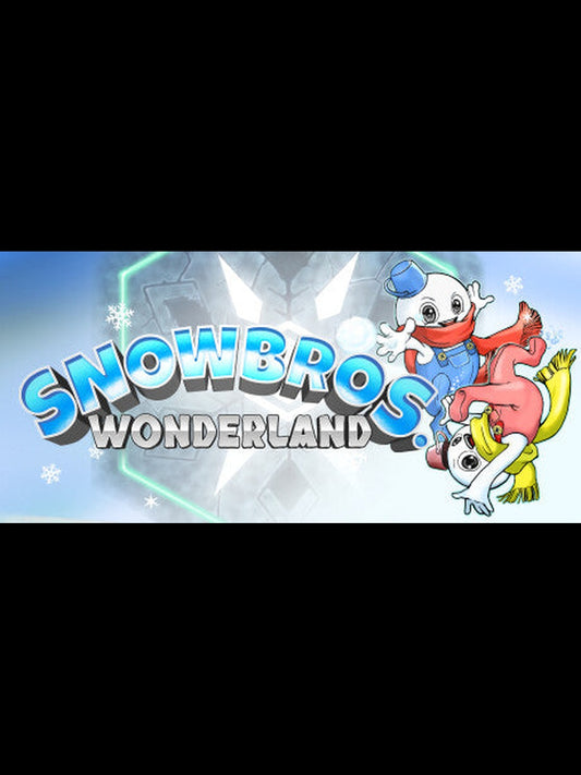Snow Bros. Wonderland PC Steam Key