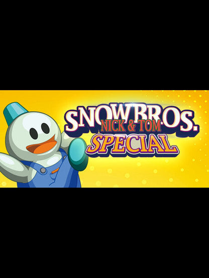 Snow Bros. Special Anniversary Edition PC Steam Key