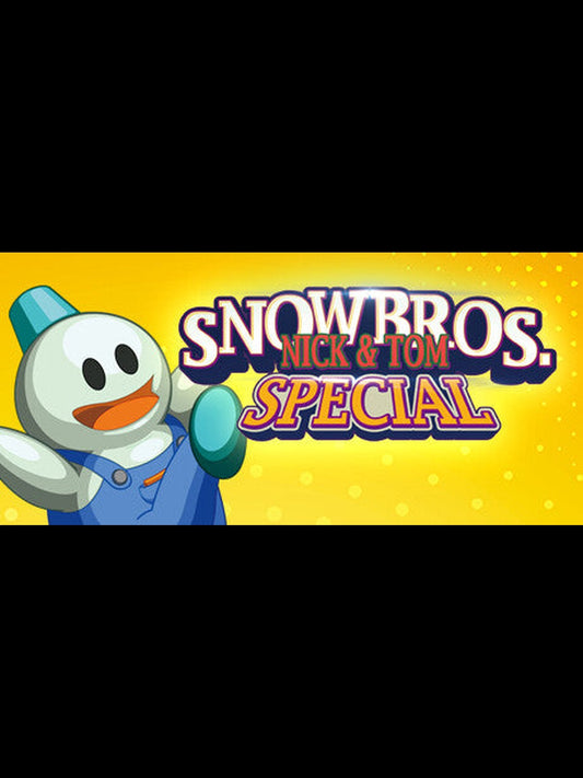 Snow Bros. Special Anniversary Edition PC Steam Key