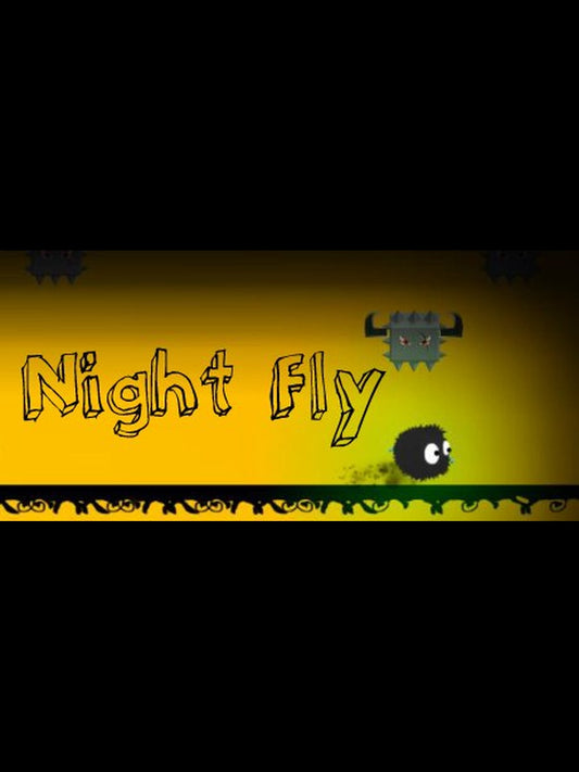 Night Fly PC Steam Key