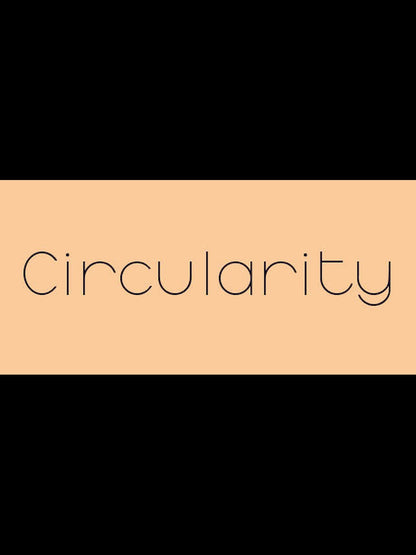 Circularity PC Steam Key