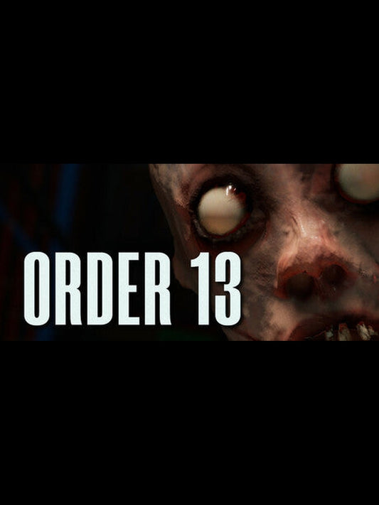 ORDER 13 PC Steam Key
