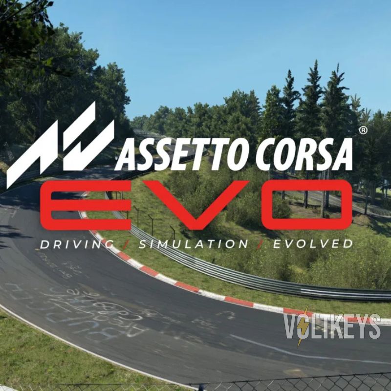 Assetto Corsa Evo logo with a racing track in the background