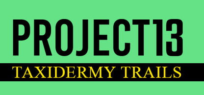 Buy Project 13: Taxidermy Trails PC Steam Key Default Title Steam key – fast digital delivery | Volt Keys