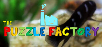 Buy The Puzzle Factory Steam Key Default Title Steam key – fast digital delivery | Volt Keys