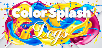 Buy Color Splash: Dogs Steam Key Default Title Steam key – fast digital delivery | Volt Keys