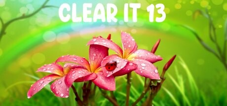 Buy ClearIt 13 Steam Key Default Title Steam key – fast digital delivery | Volt Keys