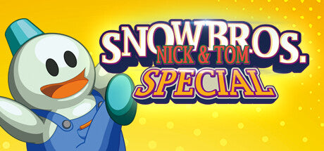 Snow Bros. Special Anniversary Edition PC Steam Key