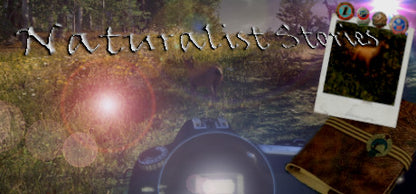 Buy Naturalist Stories Steam Key Default Title Steam key – fast digital delivery | Volt Keys