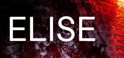 Elise PC Steam Key