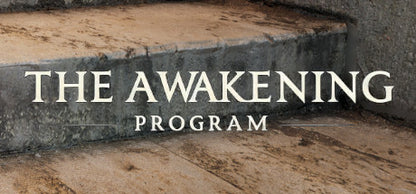 Buy The Awakening Program Steam Key Default Title Steam key – fast digital delivery | Volt Keys