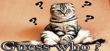 Buy Guess who ? PC Steam Key Default Title Steam key – fast digital delivery | Volt Keys