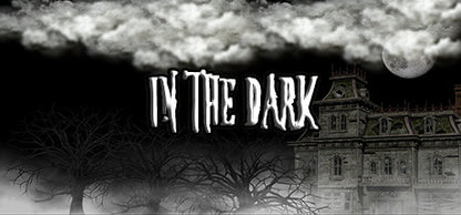 Buy In The Dark Steam Key Default Title Steam key – fast digital delivery | Volt Keys
