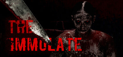 Buy The Immolate Steam Key Default Title Steam key – fast digital delivery | Volt Keys