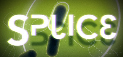 Buy Splice Steam Key Default Title Steam key – fast digital delivery | Volt Keys