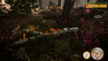 Buy Morels: The Hunt 2 Steam Key Default Title Steam key – fast digital delivery | Volt Keys