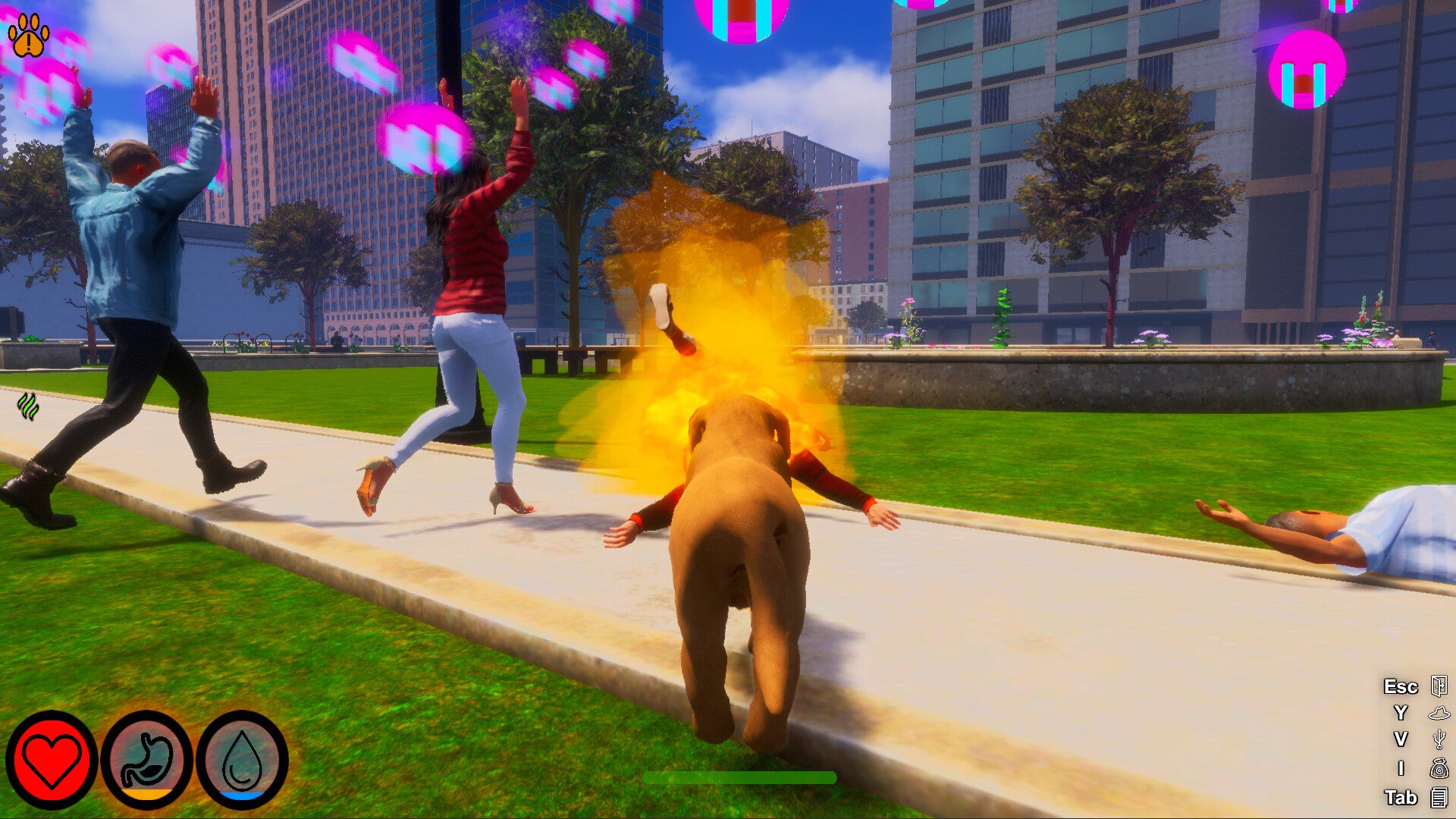 Buy Lost Paws Steam Key Default Title Steam key – fast digital delivery | Volt Keys