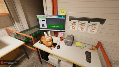 ORDER 13 PC Steam Key